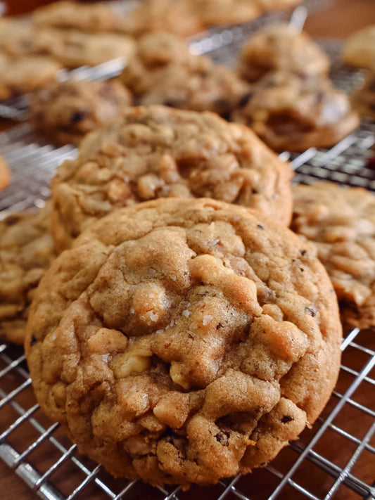 Espresso Walnut Cookie/ Gourmet Cookie, Curious Bites