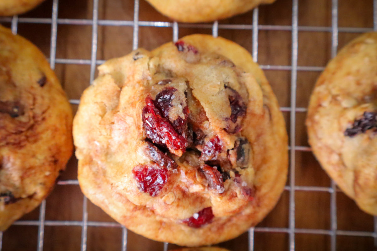 Oatmeal Cranberry Raisin Cookie, Curious Bites