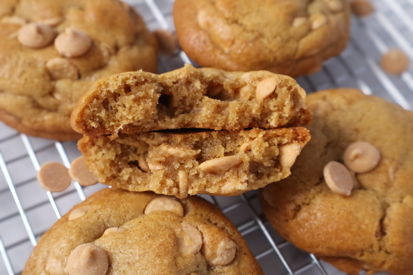 Curious Bites Peanut Butter Cookie/ Gourmet Artisan Luxury Cookie