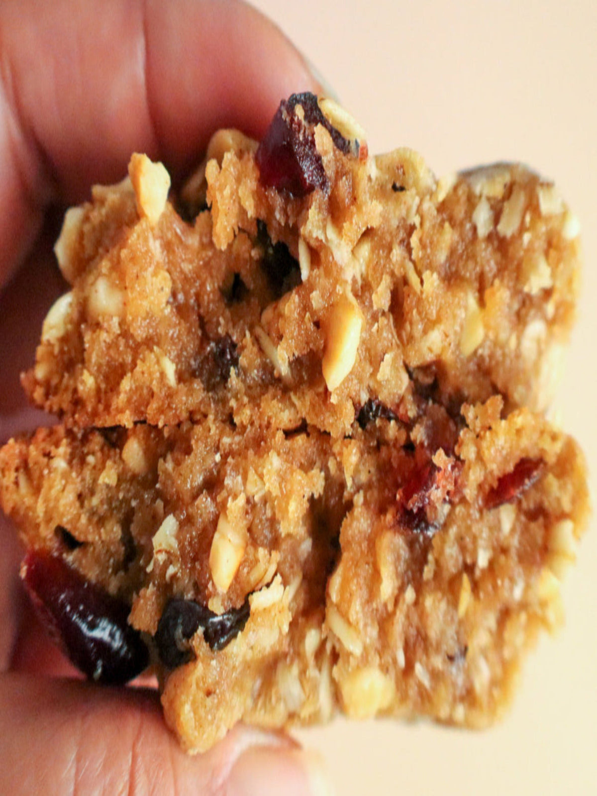 Oatmeal Cranberry Raisin Cookie, Curious Bites