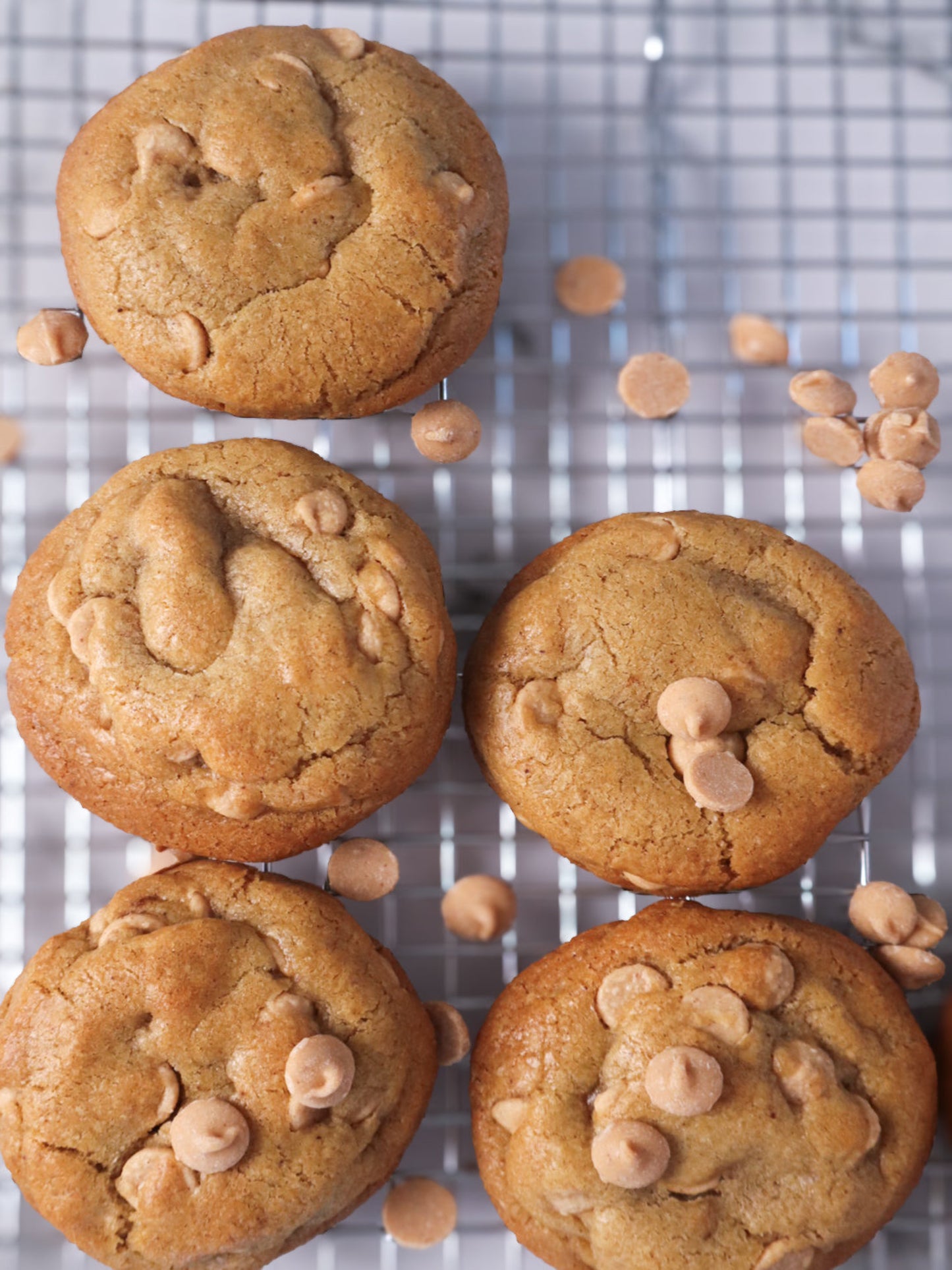 Curious Bites Peanut Butter Cookie/ Gourmet Artisan Luxury Cookie