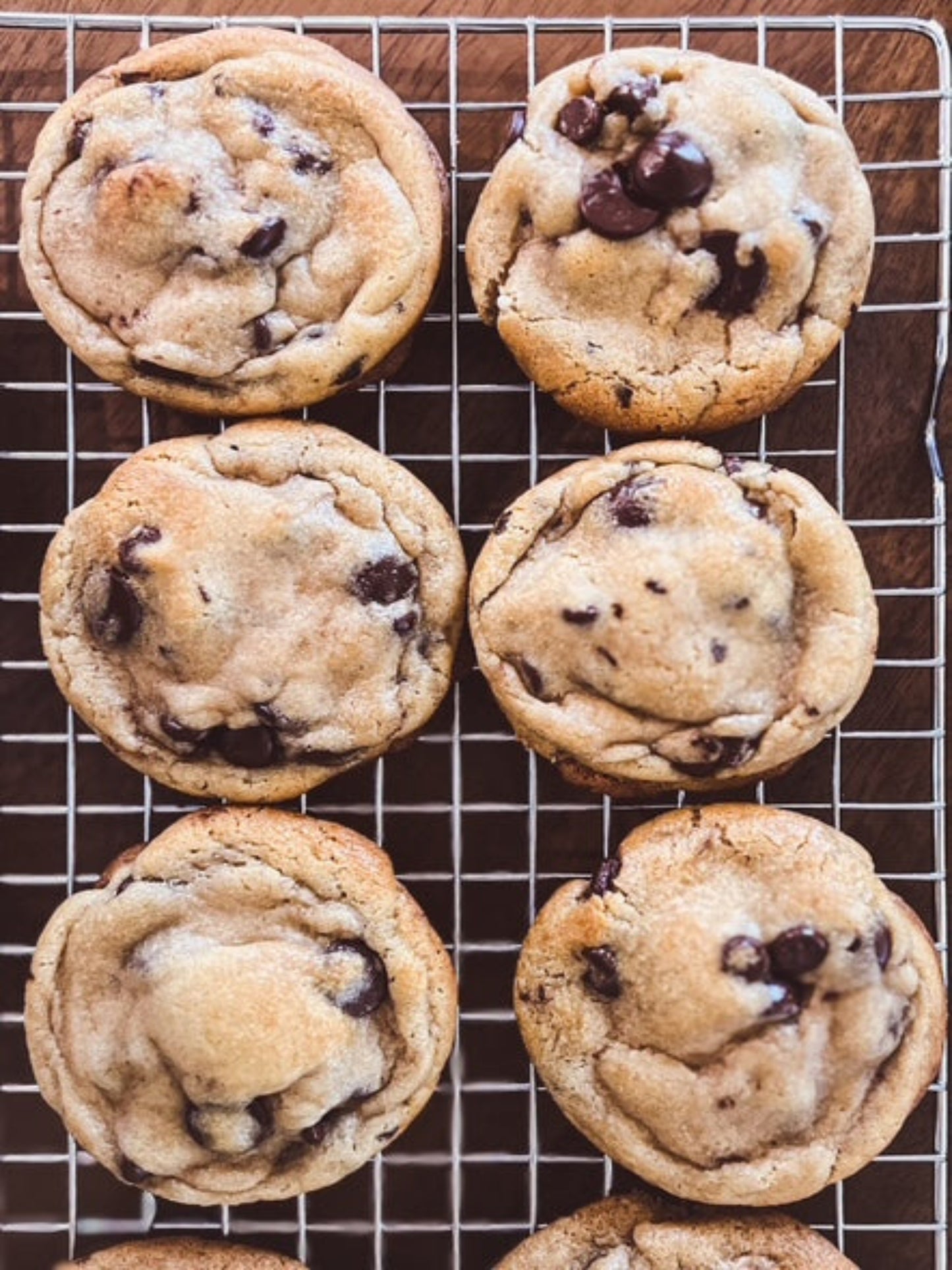 Chocolate Chip Cookie/ Gourmet Luxury Treats, Curious Bites